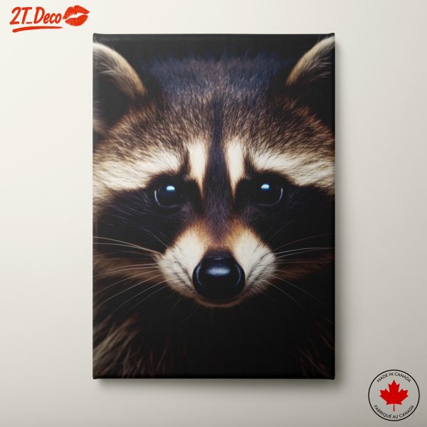 Close-Up Raccoon Wildlife Art
