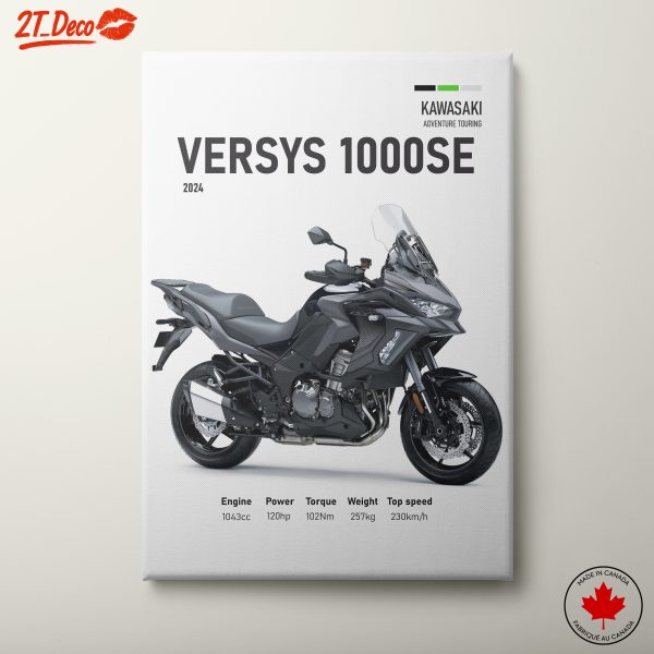 2024 Kawasaki Versys 1000SE Motorcycle Art