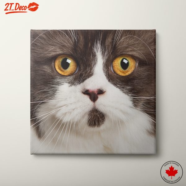 Majestic Cat Close-Up Wall Art