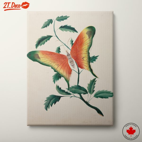 Colorful Butterfly on Green Leaves