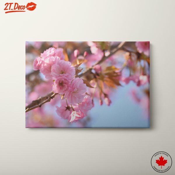 Delicate Pink Cherry Blossom Art