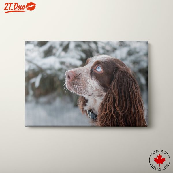 Close-Up of a Dog in Snow