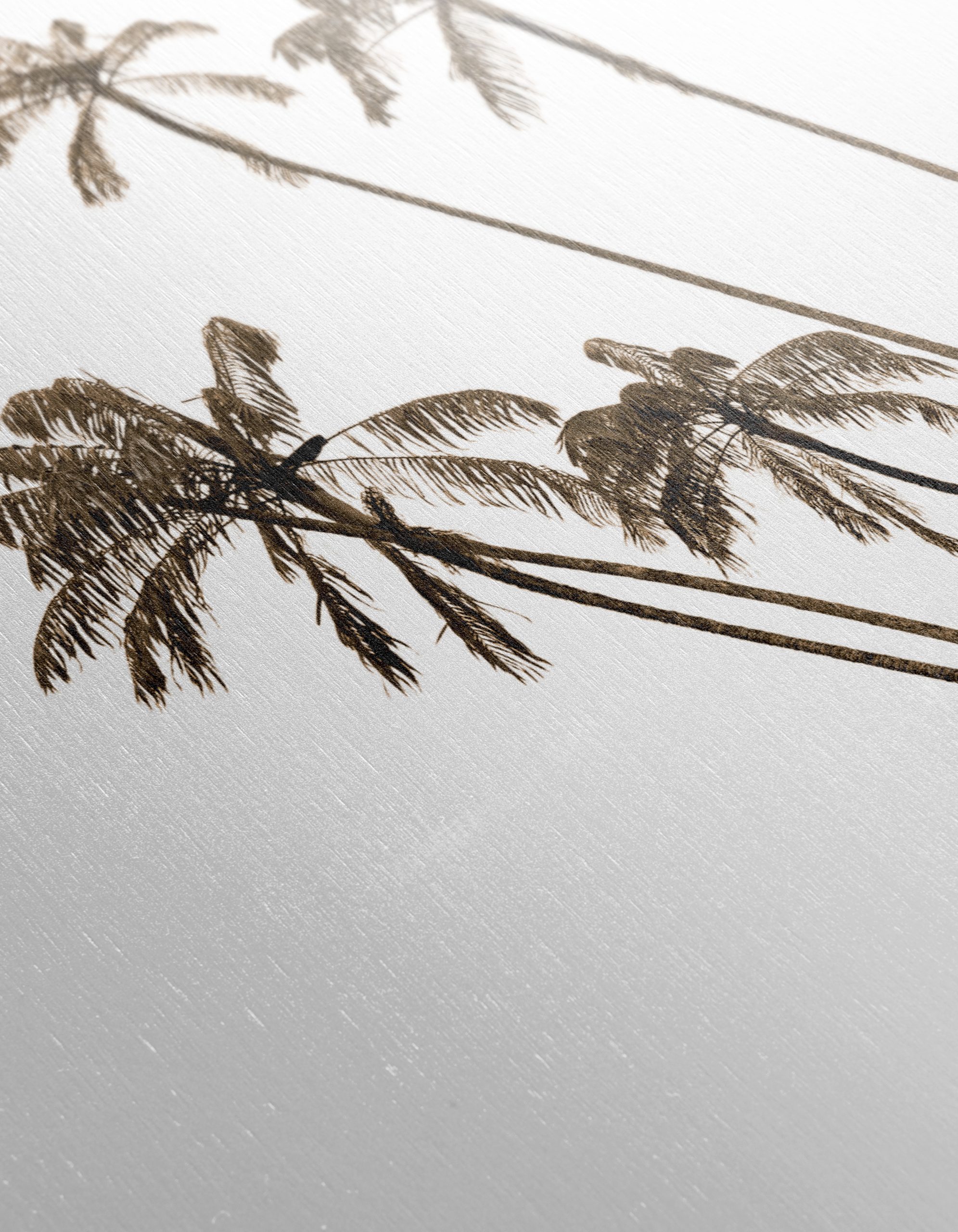 Silhouette of Palm Trees in Natural Style - Image 12