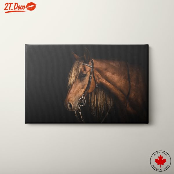 Elegant Horse Portrait in Dark Background