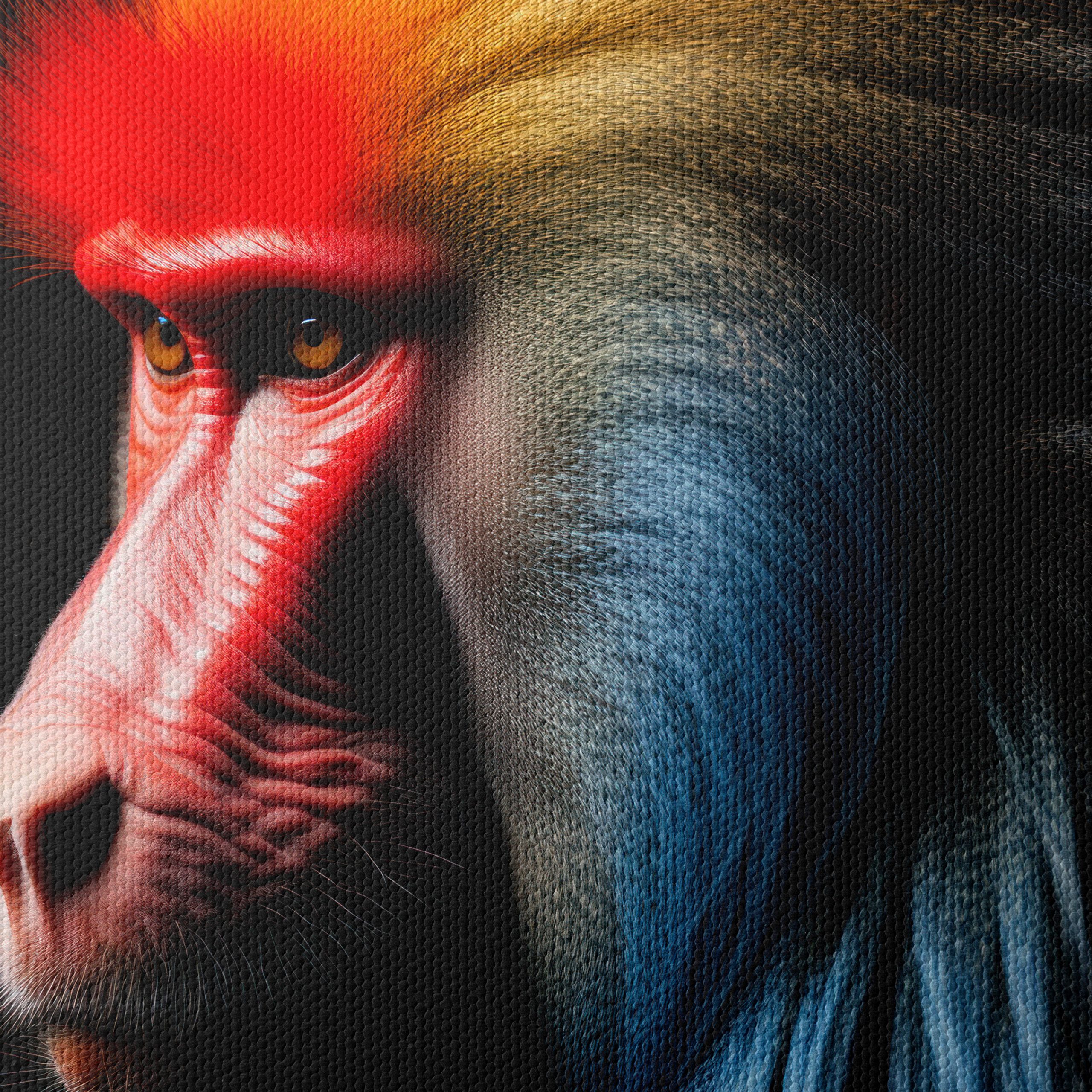 Vibrant Baboon Portrait Wall Art - Image 4