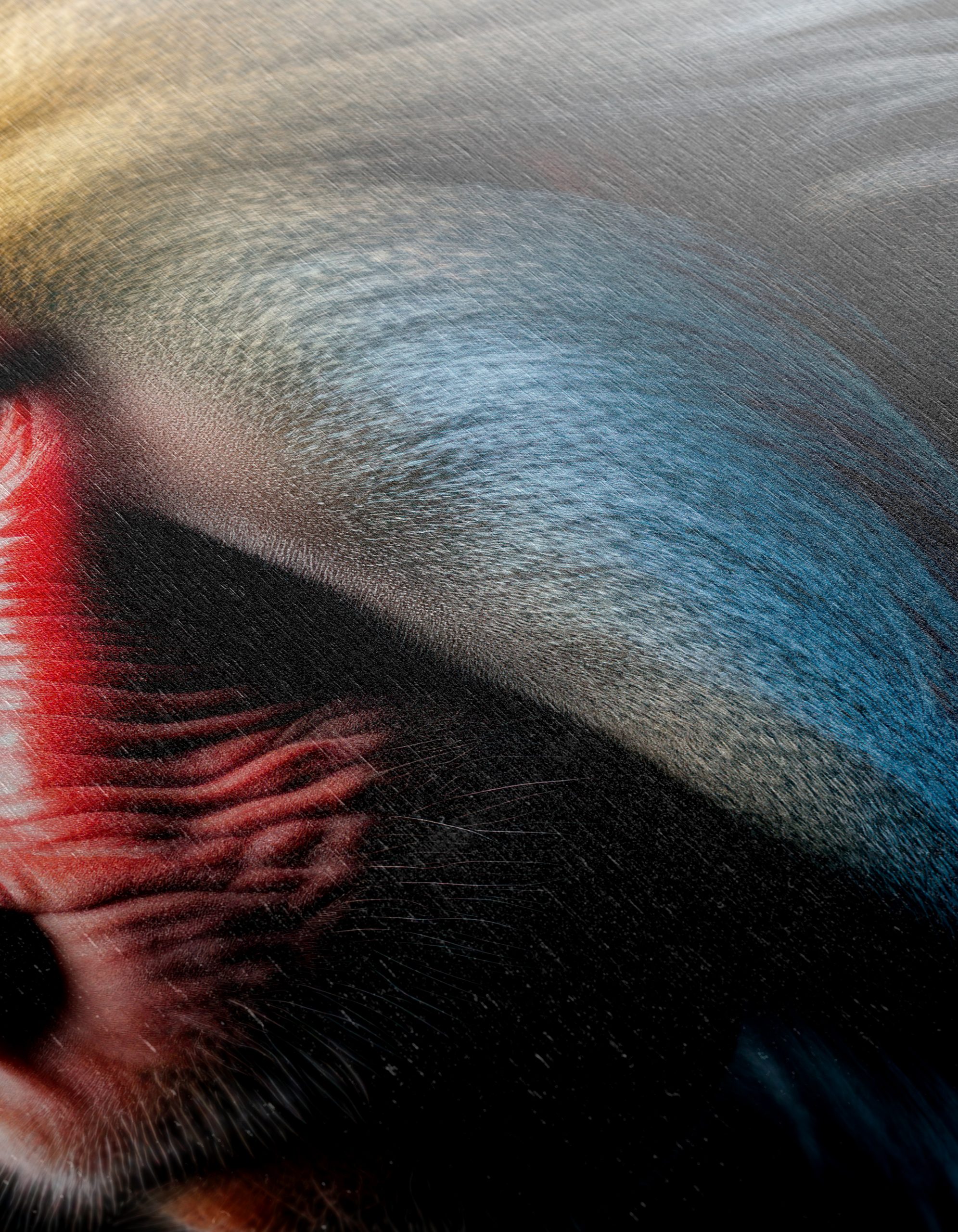 Vibrant Baboon Portrait Wall Art - Image 12