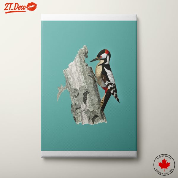 Colorful Woodpecker Art on Turquoise Background