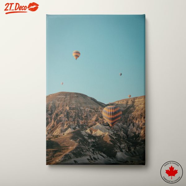 Hot Air Balloons Over Unique Landscape