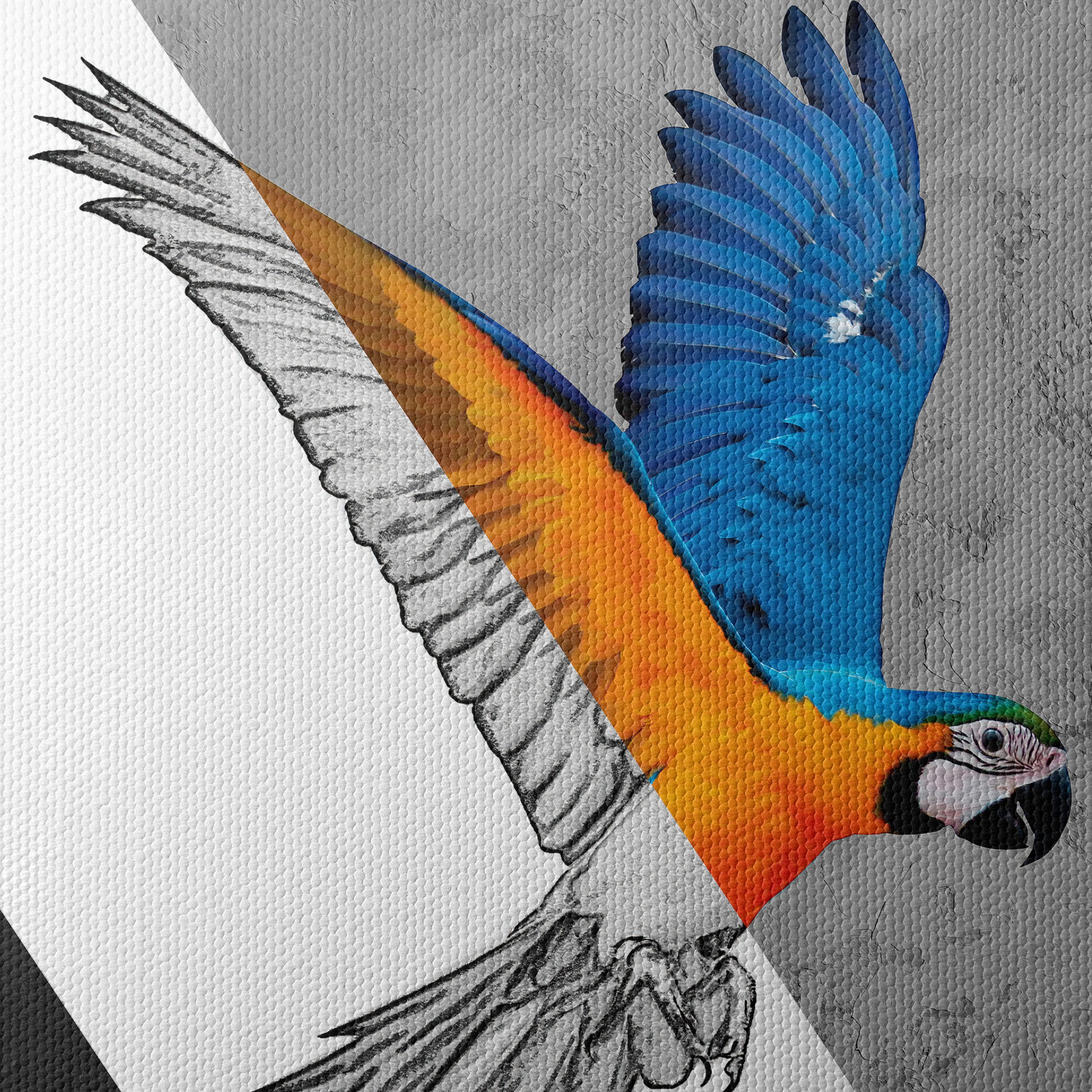 Stylized Parrot Wall Art - Image 4