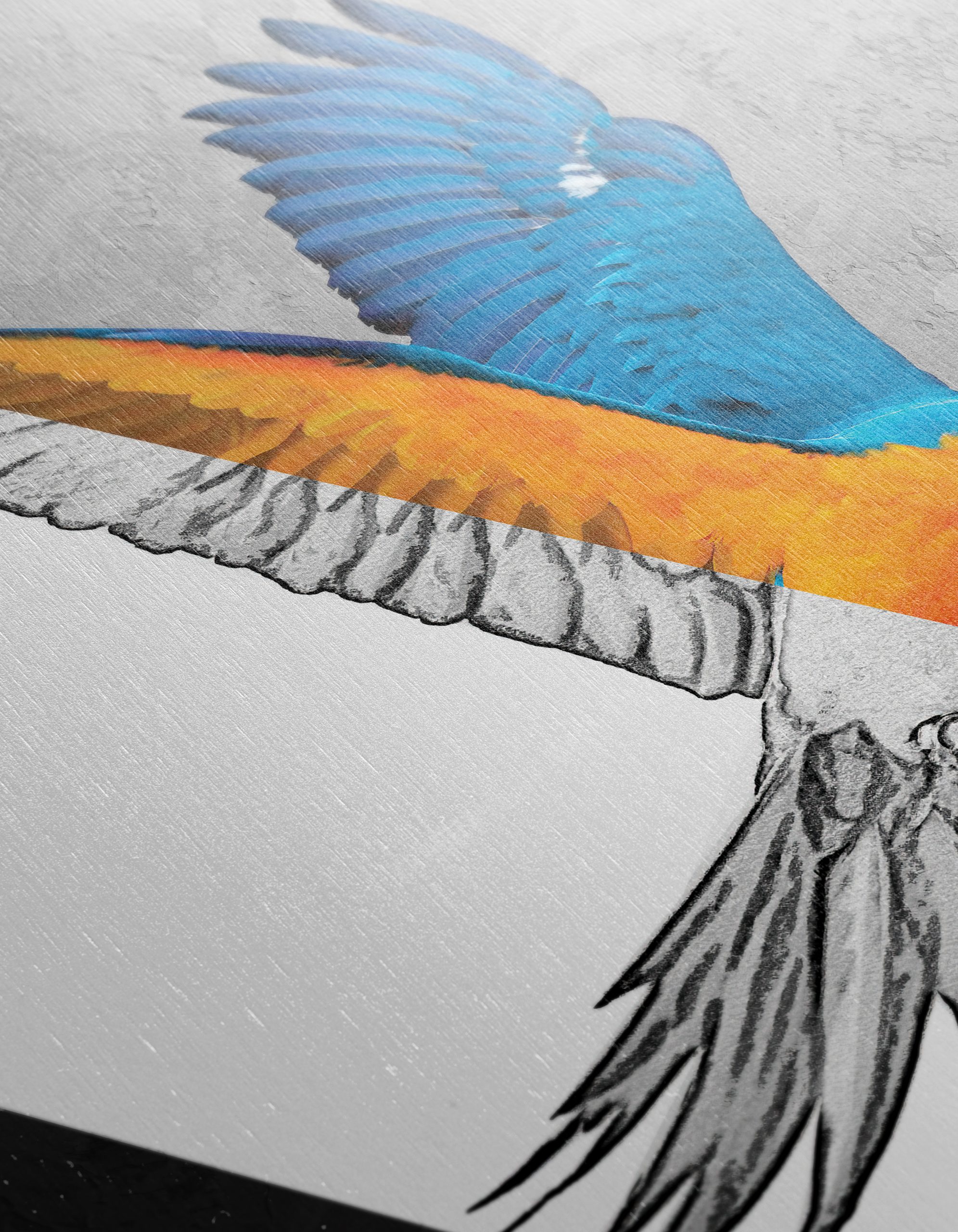 Stylized Parrot Wall Art - Image 12