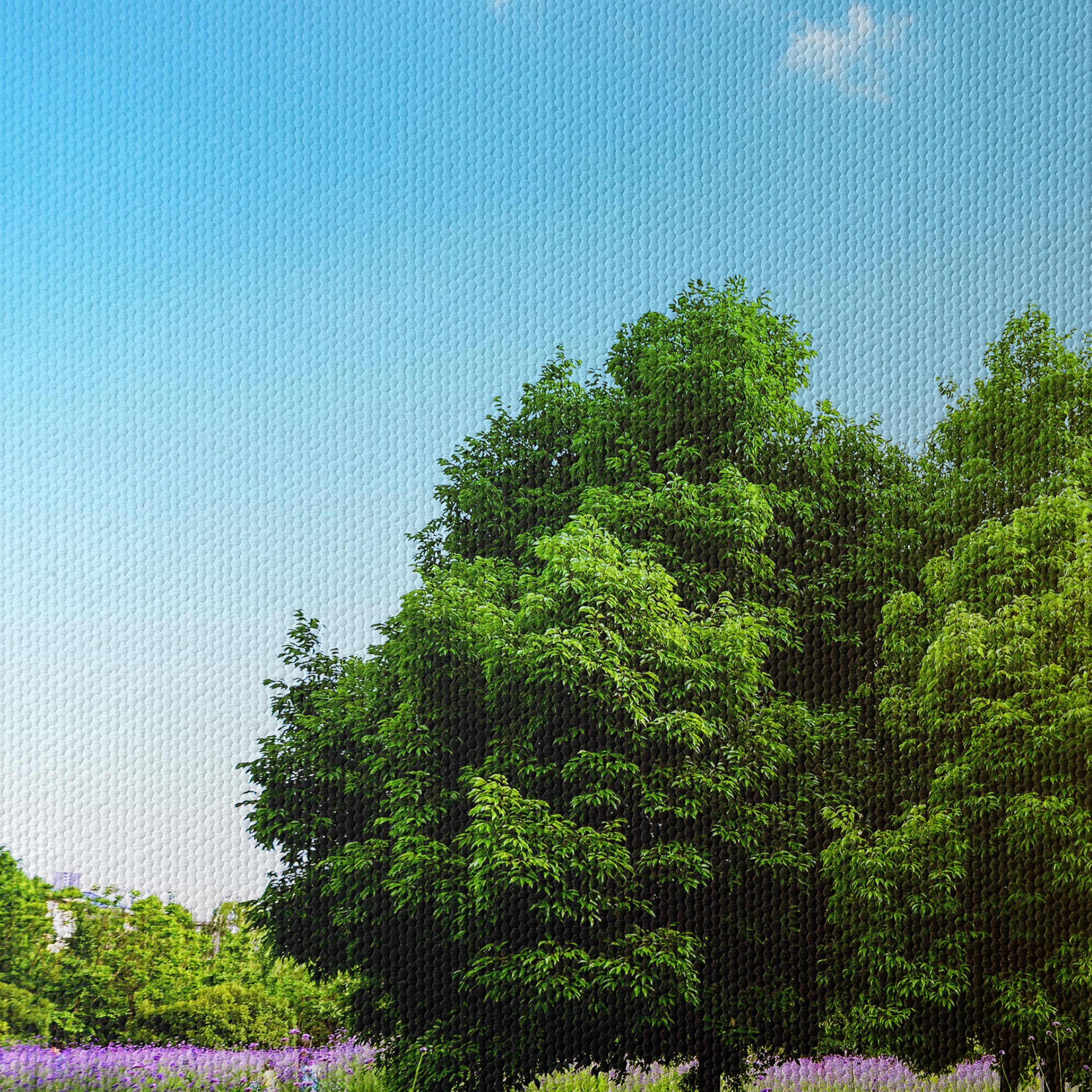 Beautiful Nature Landscape with Trees - Image 4