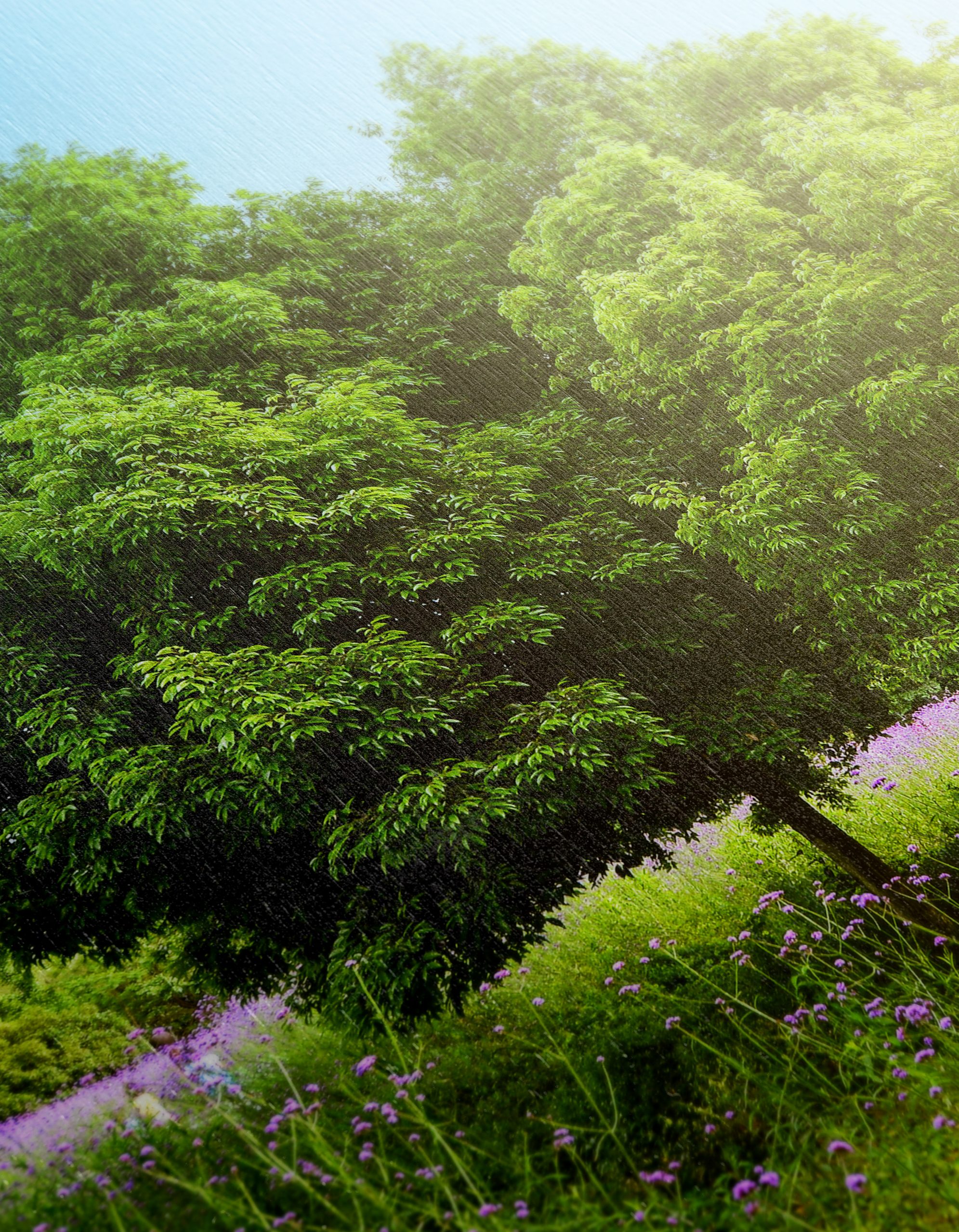 Beautiful Nature Landscape with Trees - Image 12