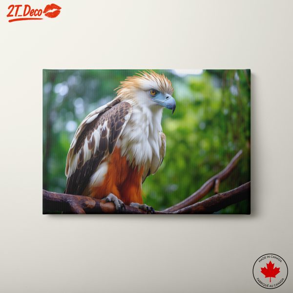 Majestic Bird with Vibrant Colors