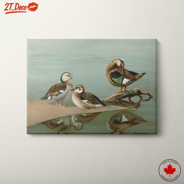 Trio of Ducks by Allan Brooks