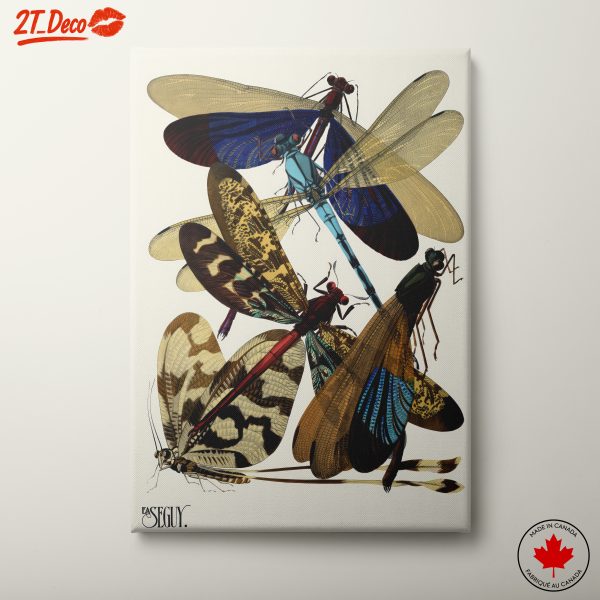 Colorful Illustrations of Butterflies and Insects