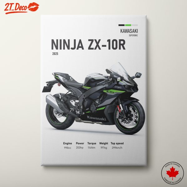 Kawasaki Ninja ZX-10R Superbike Artwork