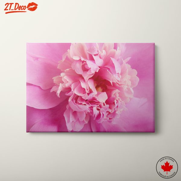 Stunning Pink Flower Art