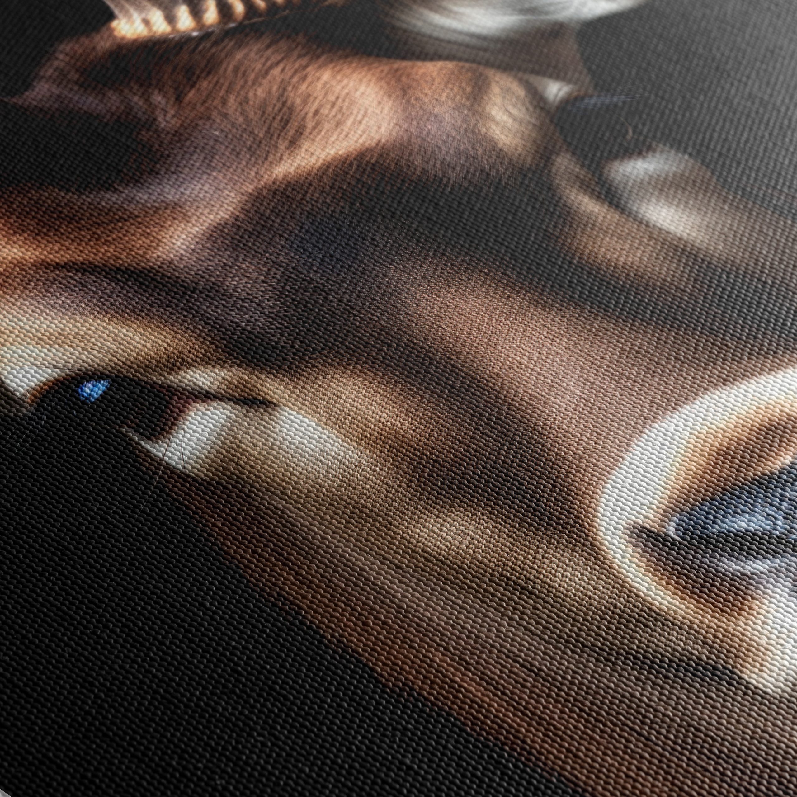 Majestic Deer Portrait Against Black Background - Image 5