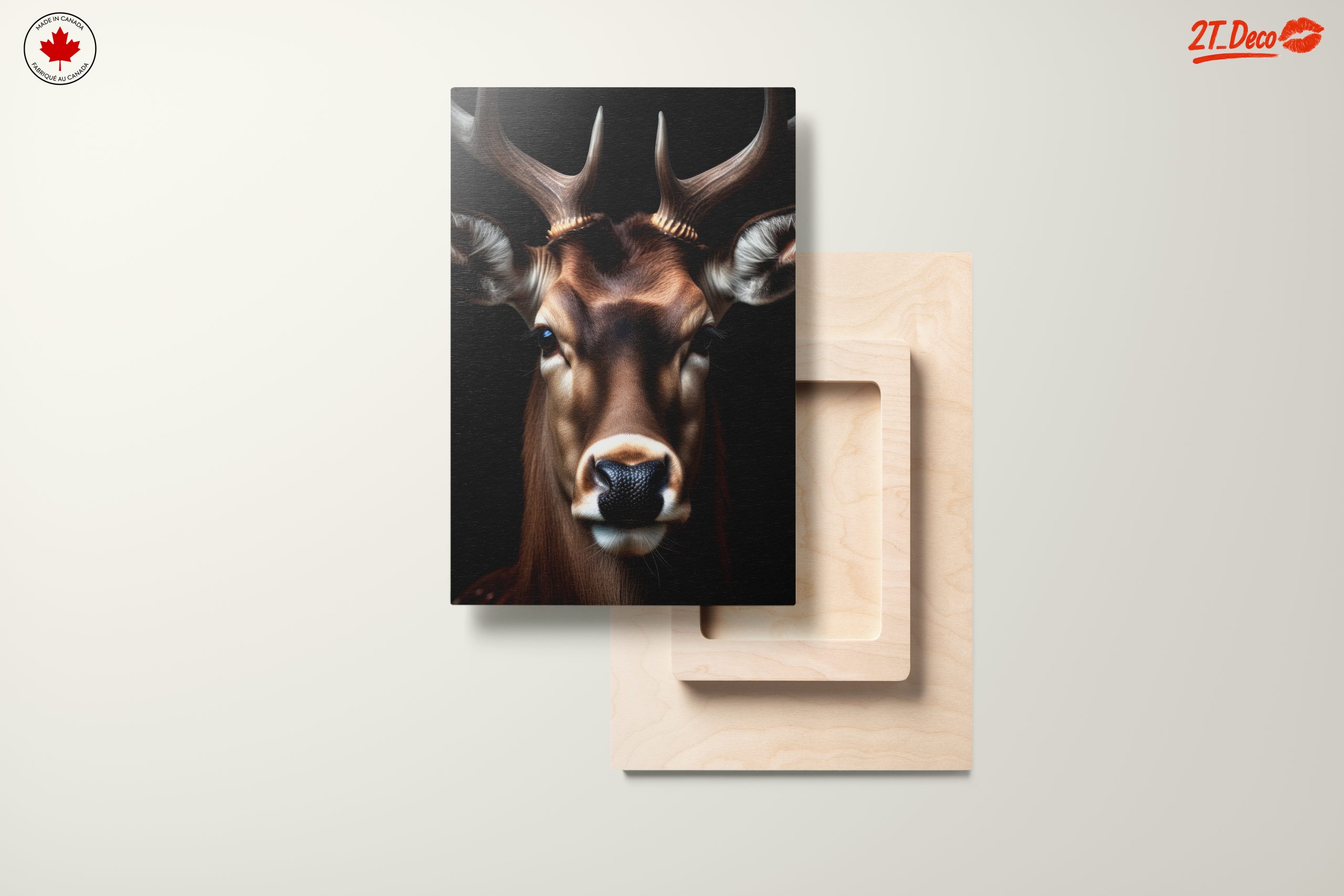 Majestic Deer Portrait Against Black Background - Image 11
