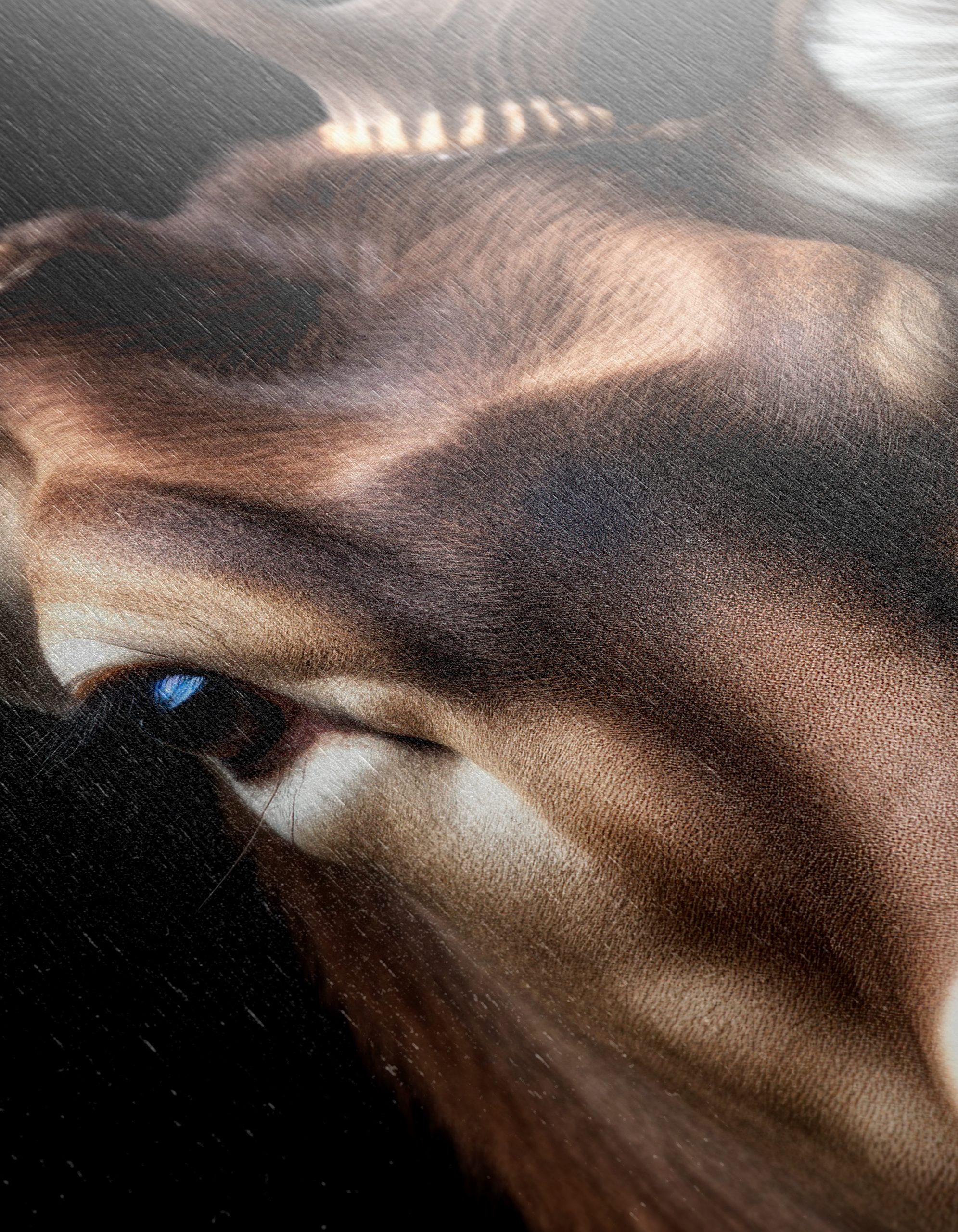Majestic Deer Portrait Against Black Background - Image 12