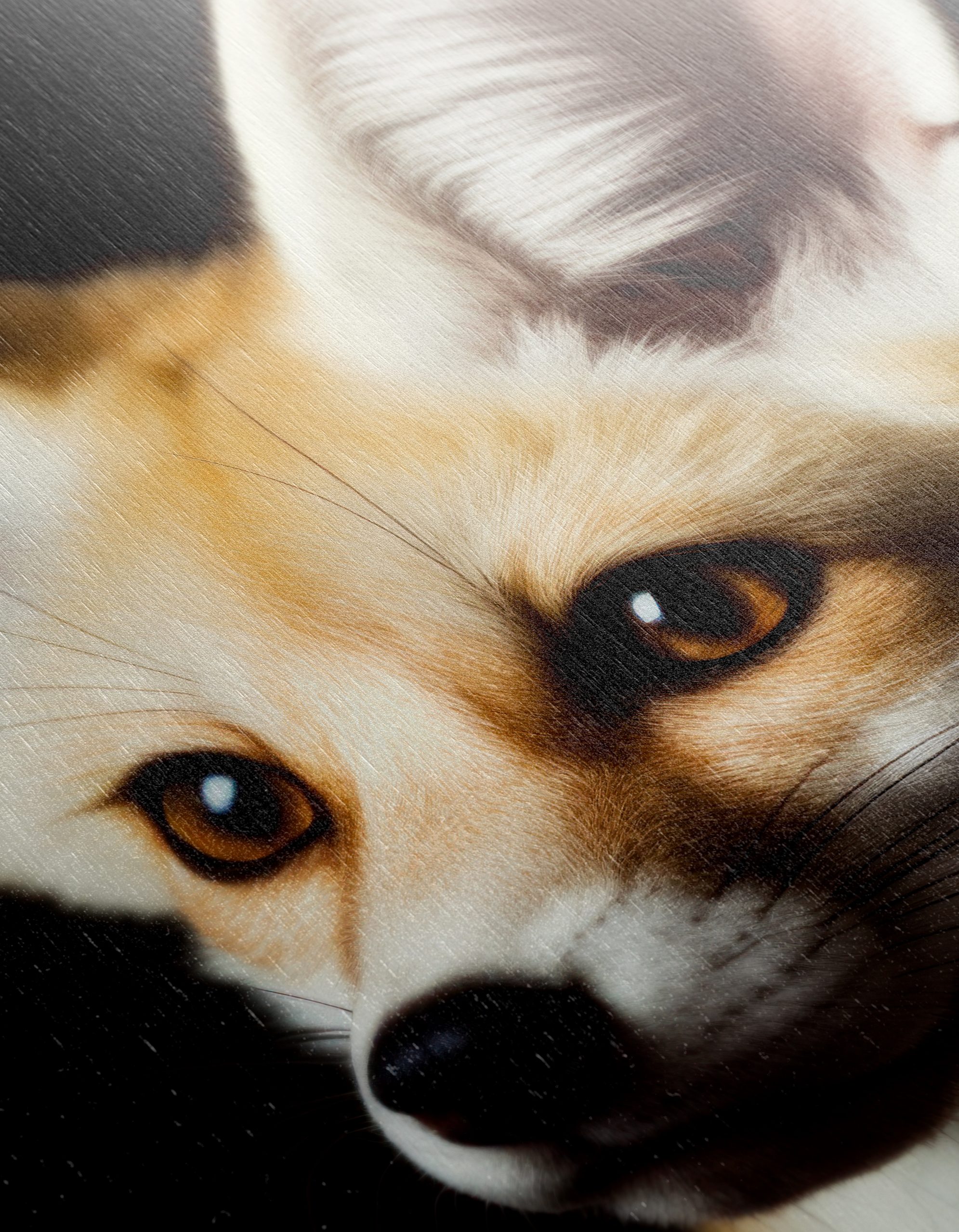 Curious Fox Portrait Art - Image 12