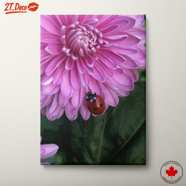 Pink Flower with Ladybug