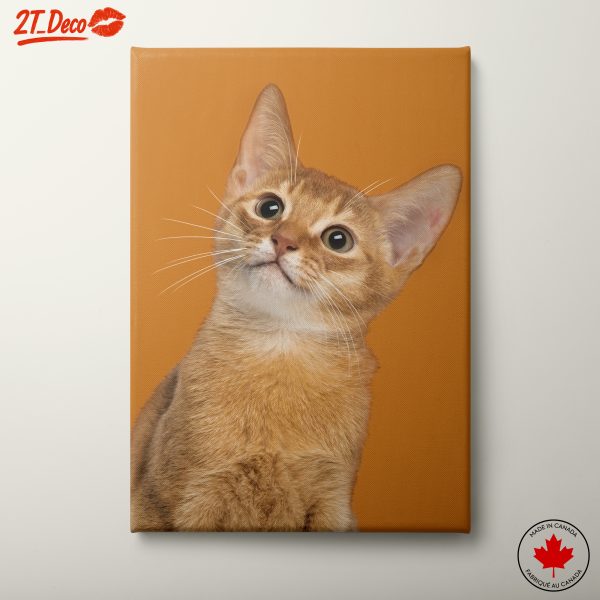 Cute Cat Portrait on Vibrant Background