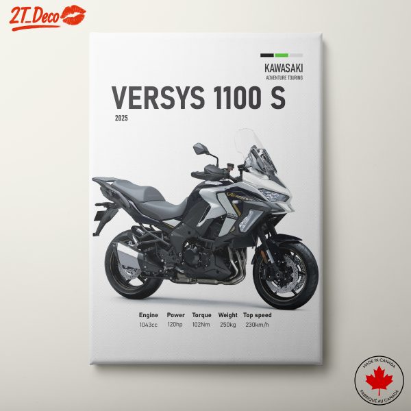 Kawasaki Versys 1100 S Adventure Motorcycle Design