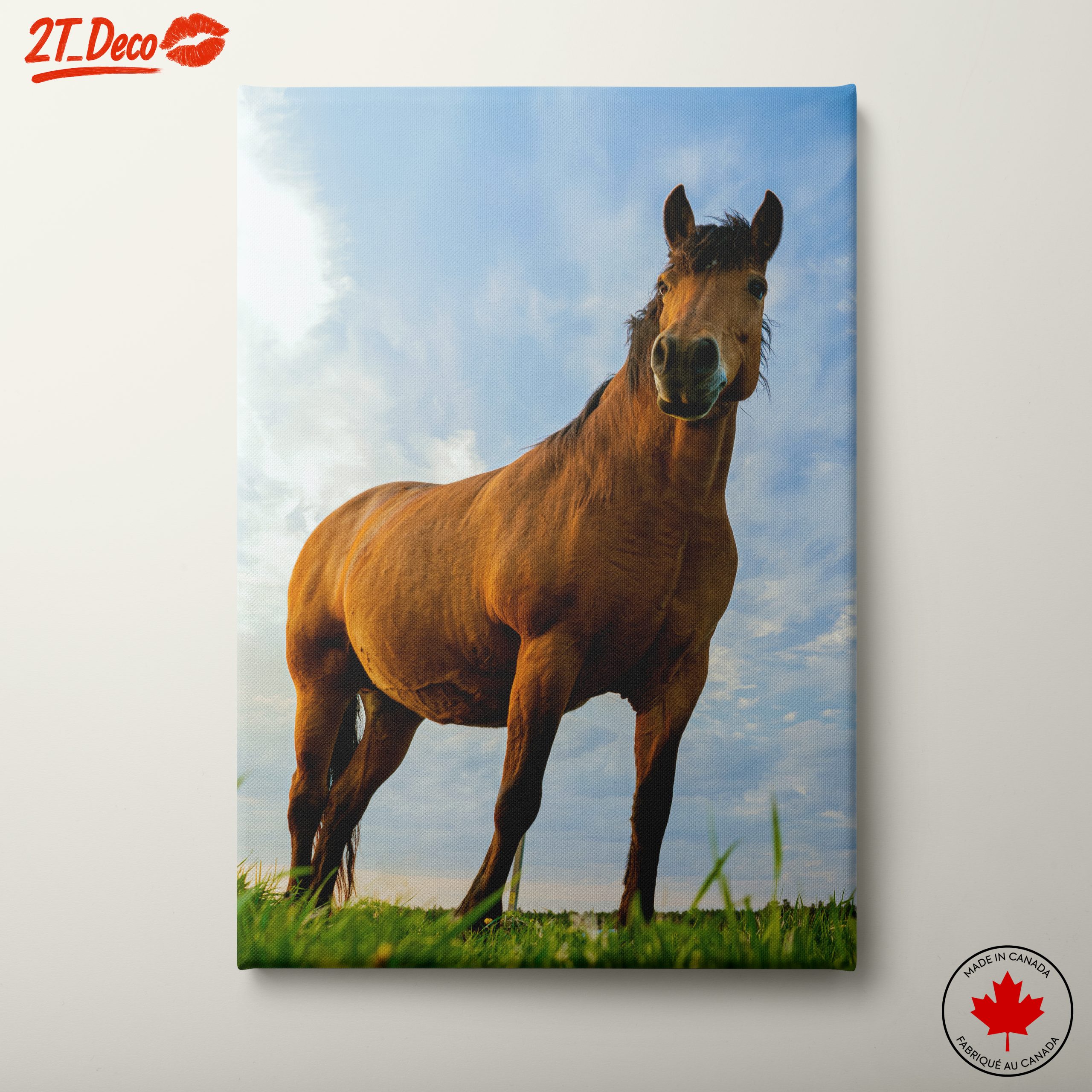 Majestic Horse Portrait Against Dramatic Sky