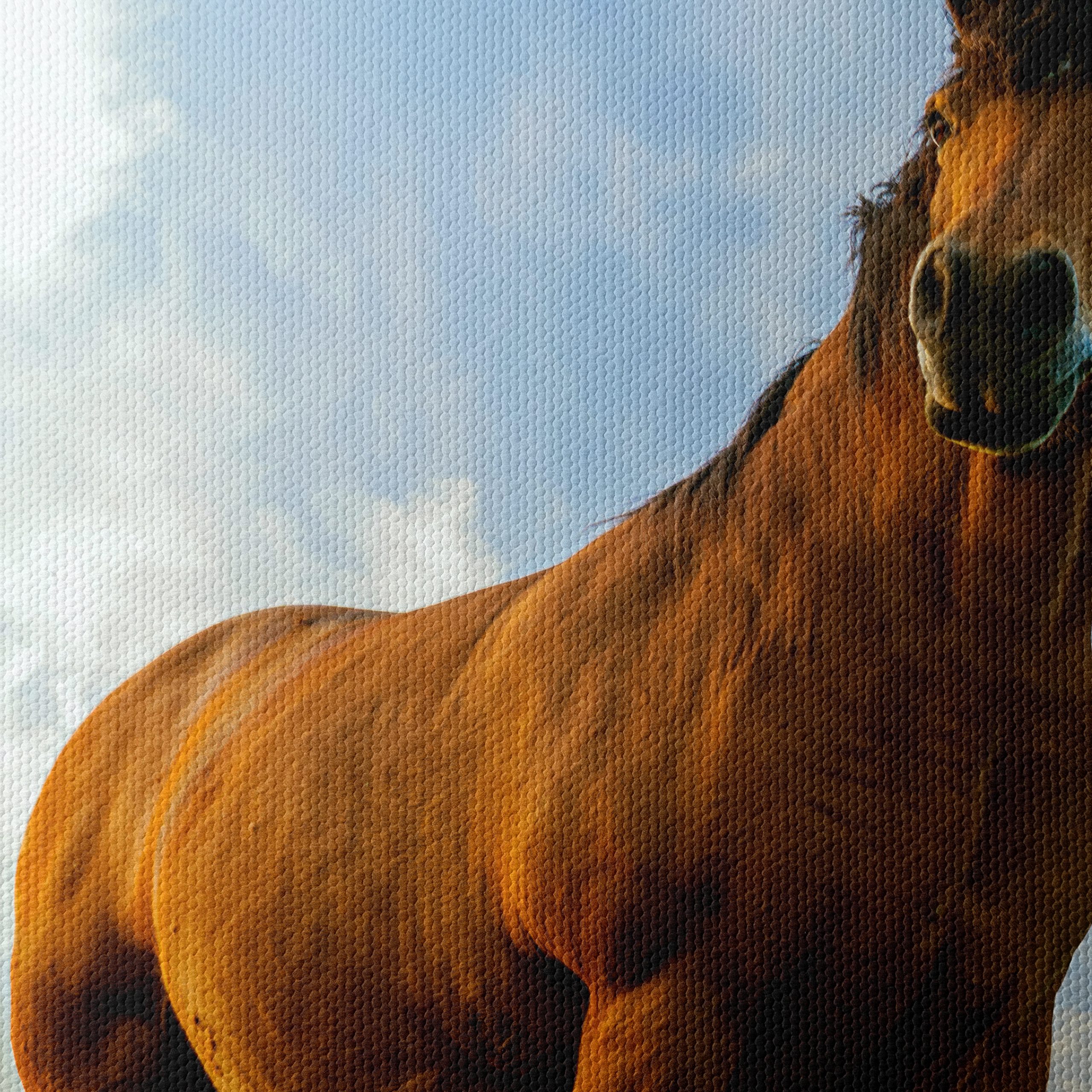 Majestic Horse Portrait Against Dramatic Sky - Image 4