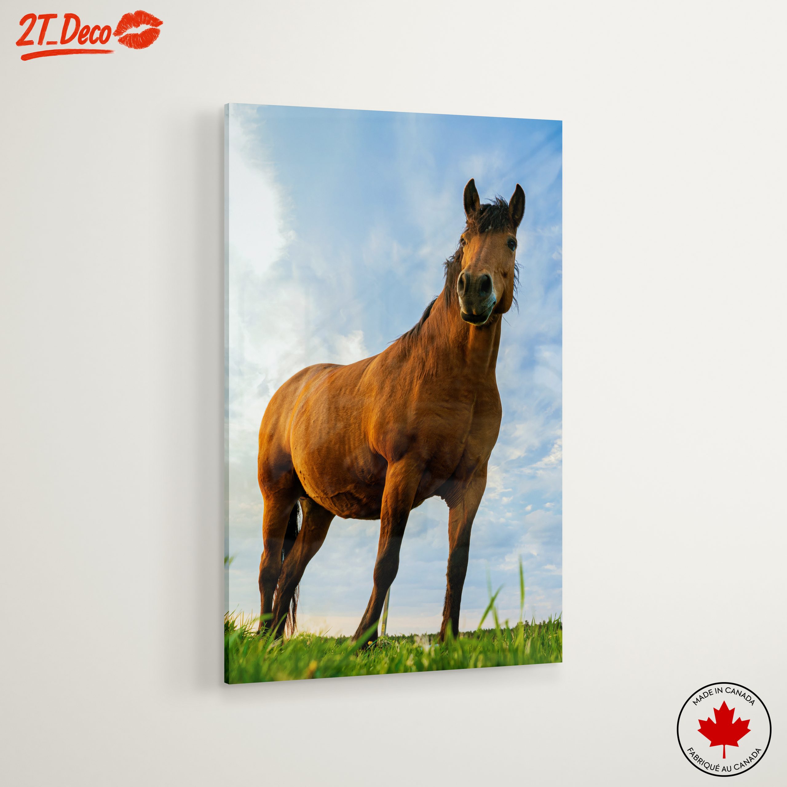 Majestic Horse Portrait Against Dramatic Sky - Image 6