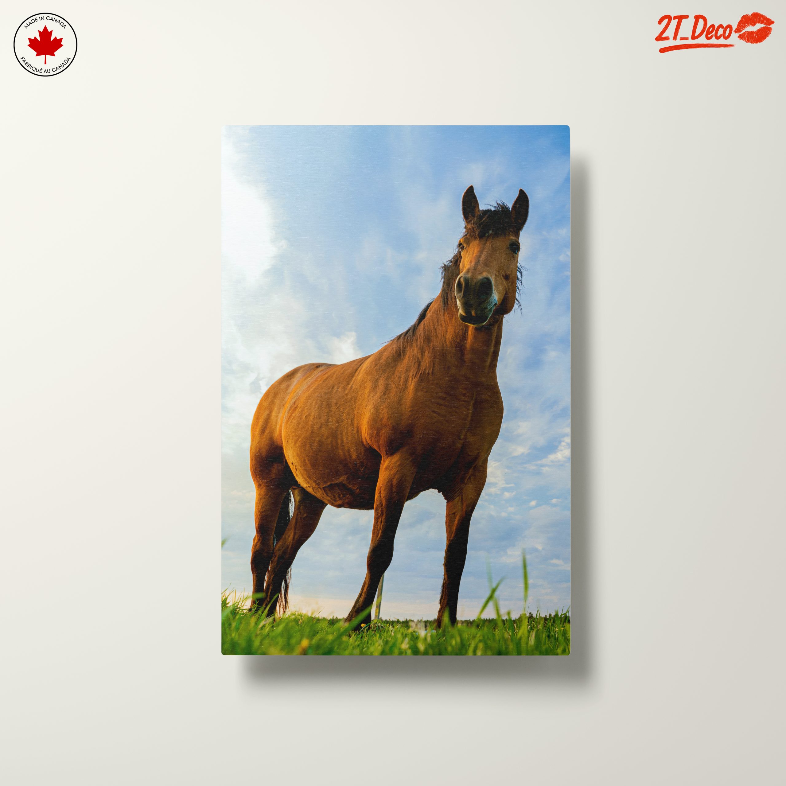 Majestic Horse Portrait Against Dramatic Sky - Image 10