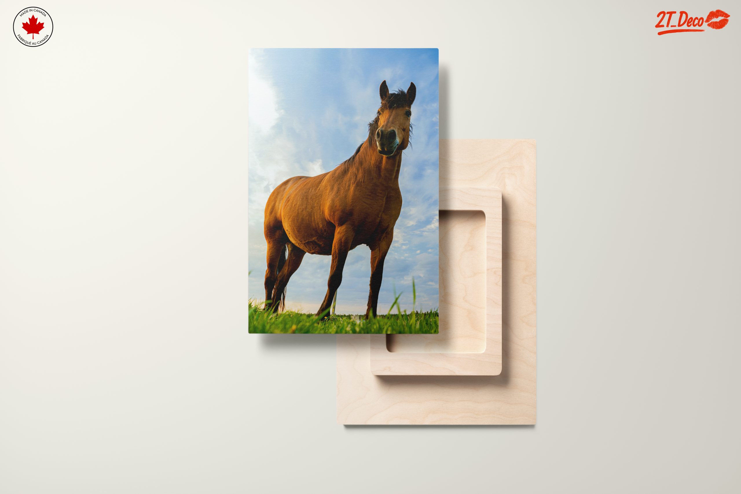 Majestic Horse Portrait Against Dramatic Sky - Image 11