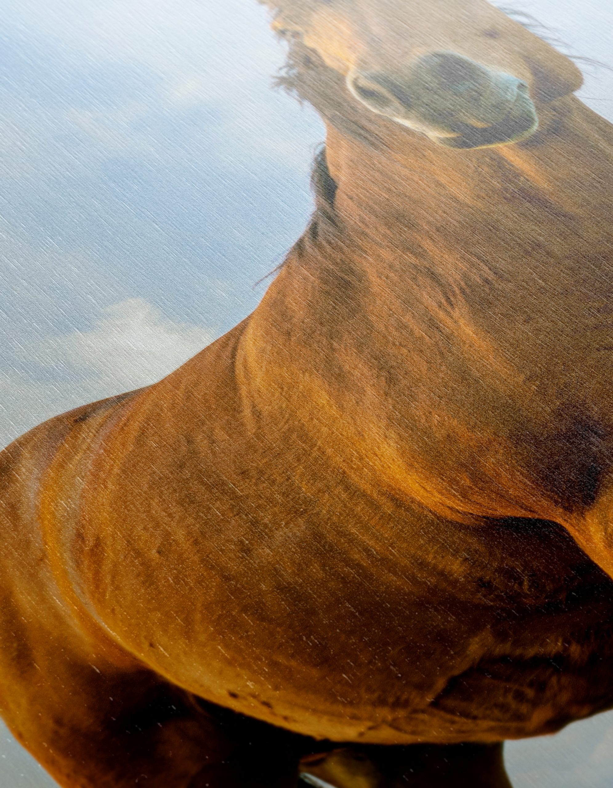 Majestic Horse Portrait Against Dramatic Sky - Image 12