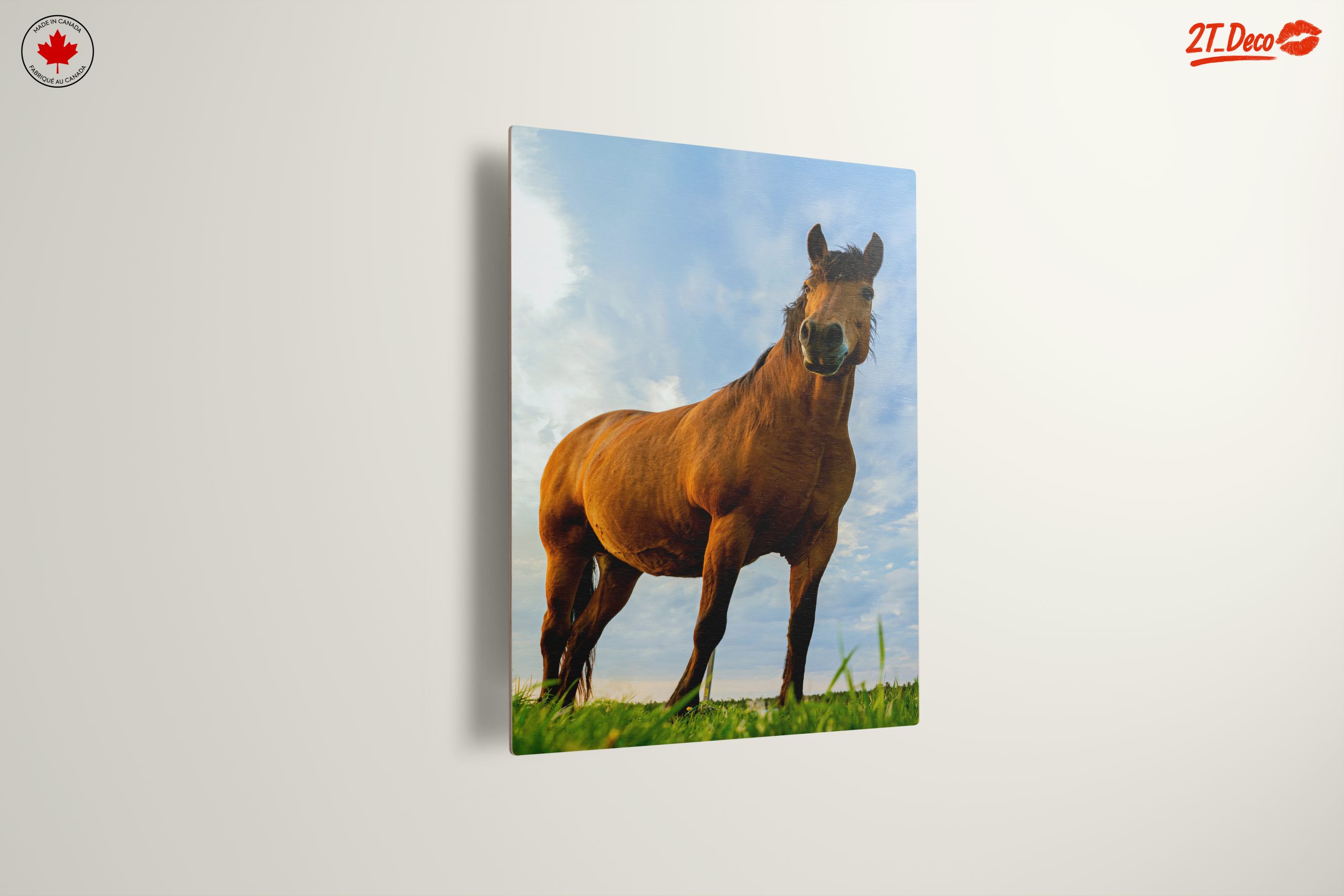 Majestic Horse Portrait Against Dramatic Sky - Image 13