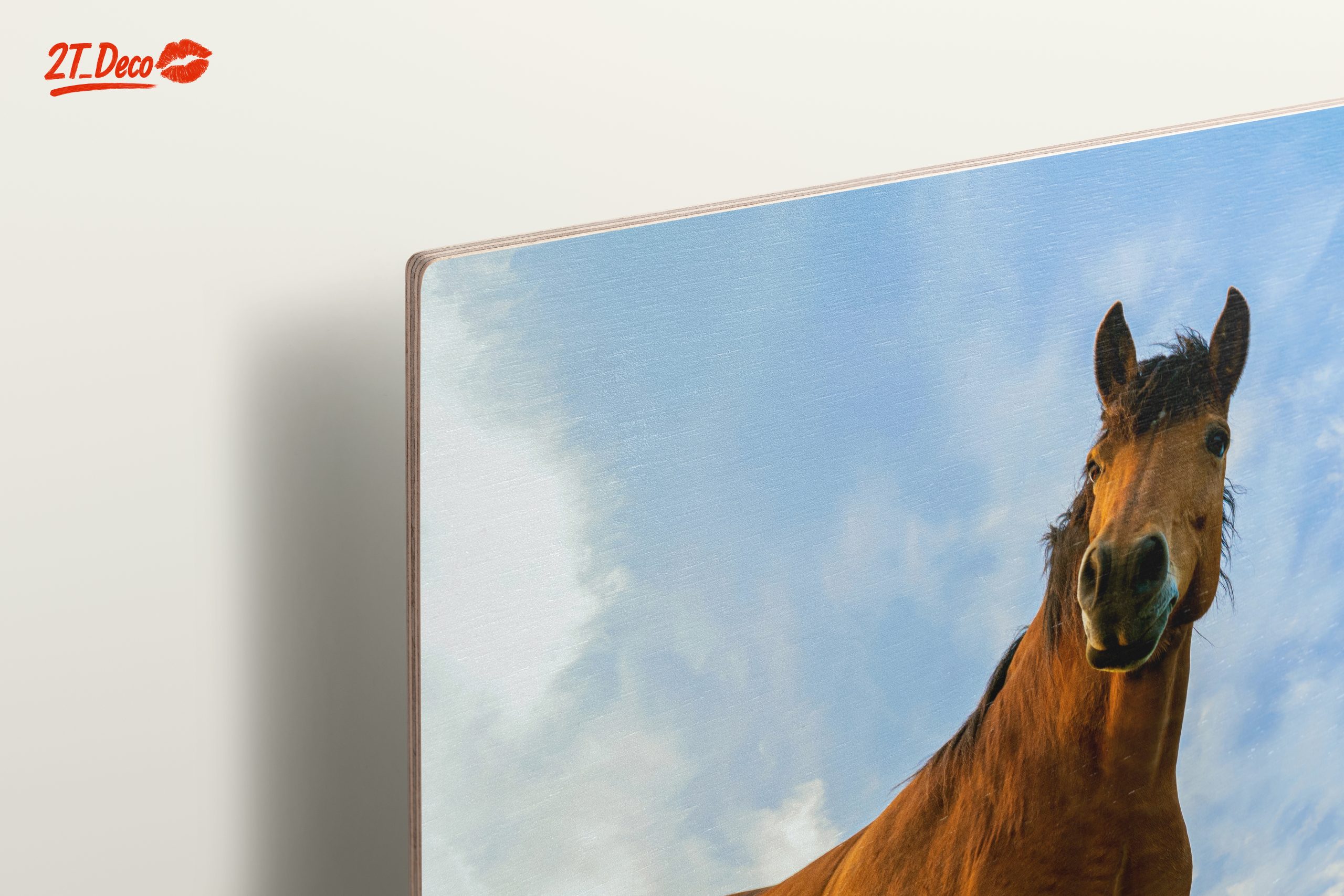 Majestic Horse Portrait Against Dramatic Sky - Image 15