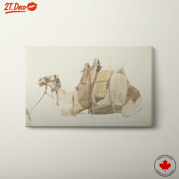 Artistic Camel Illustration