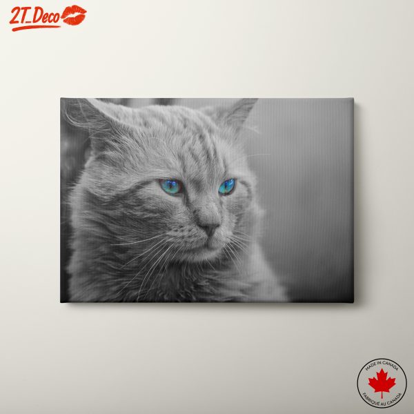 Stunning Blue-Eyed Cat Wall Art