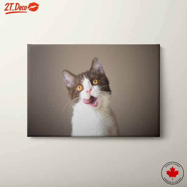Playful Cat Portrait on Neutral Background