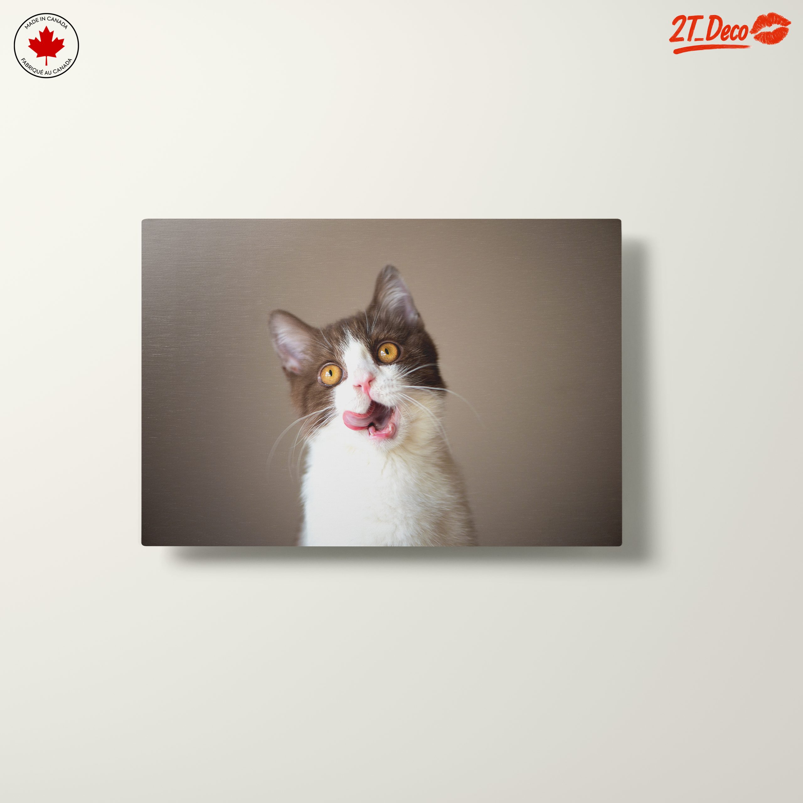 Playful Cat Portrait on Neutral Background - Image 10