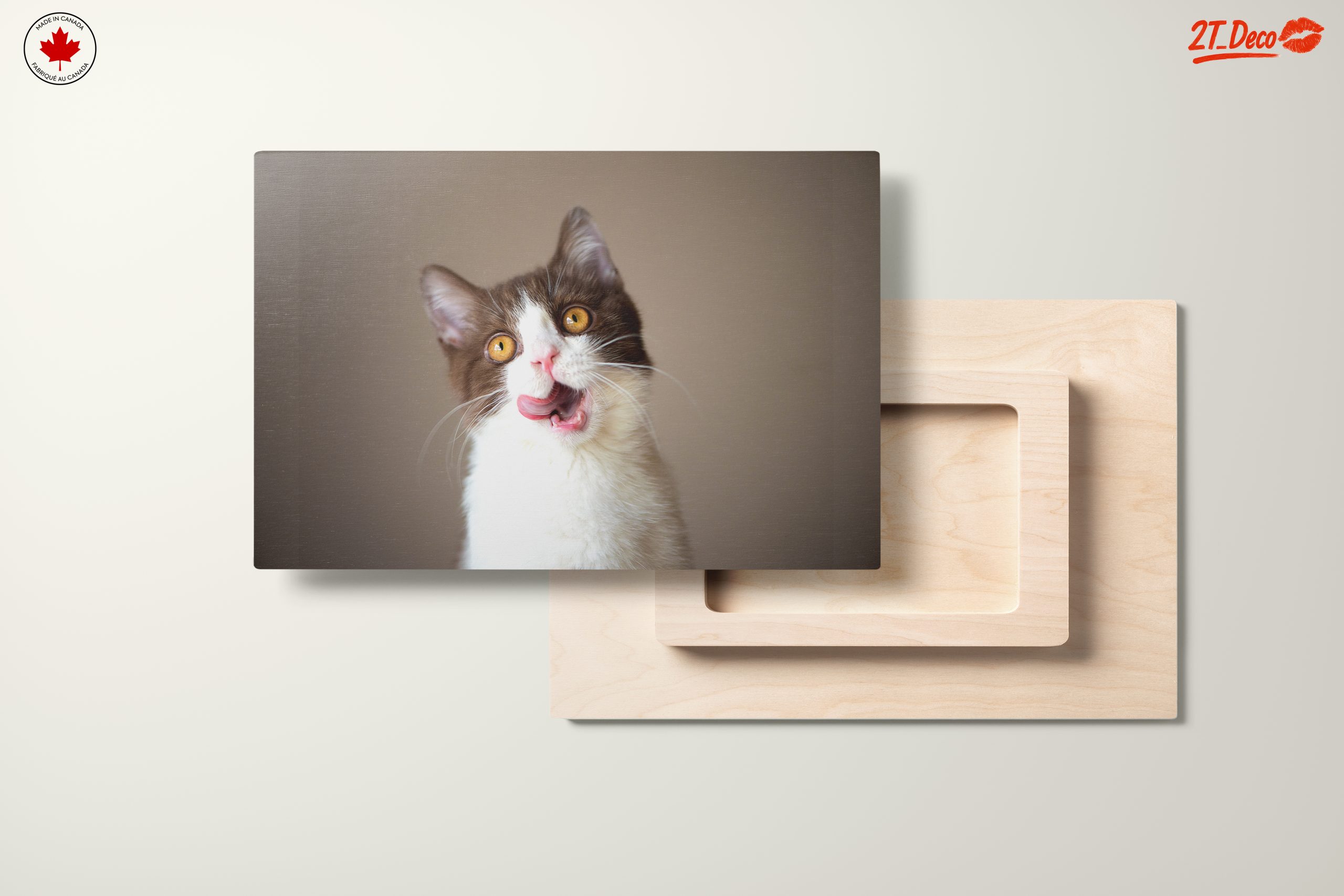Playful Cat Portrait on Neutral Background - Image 11