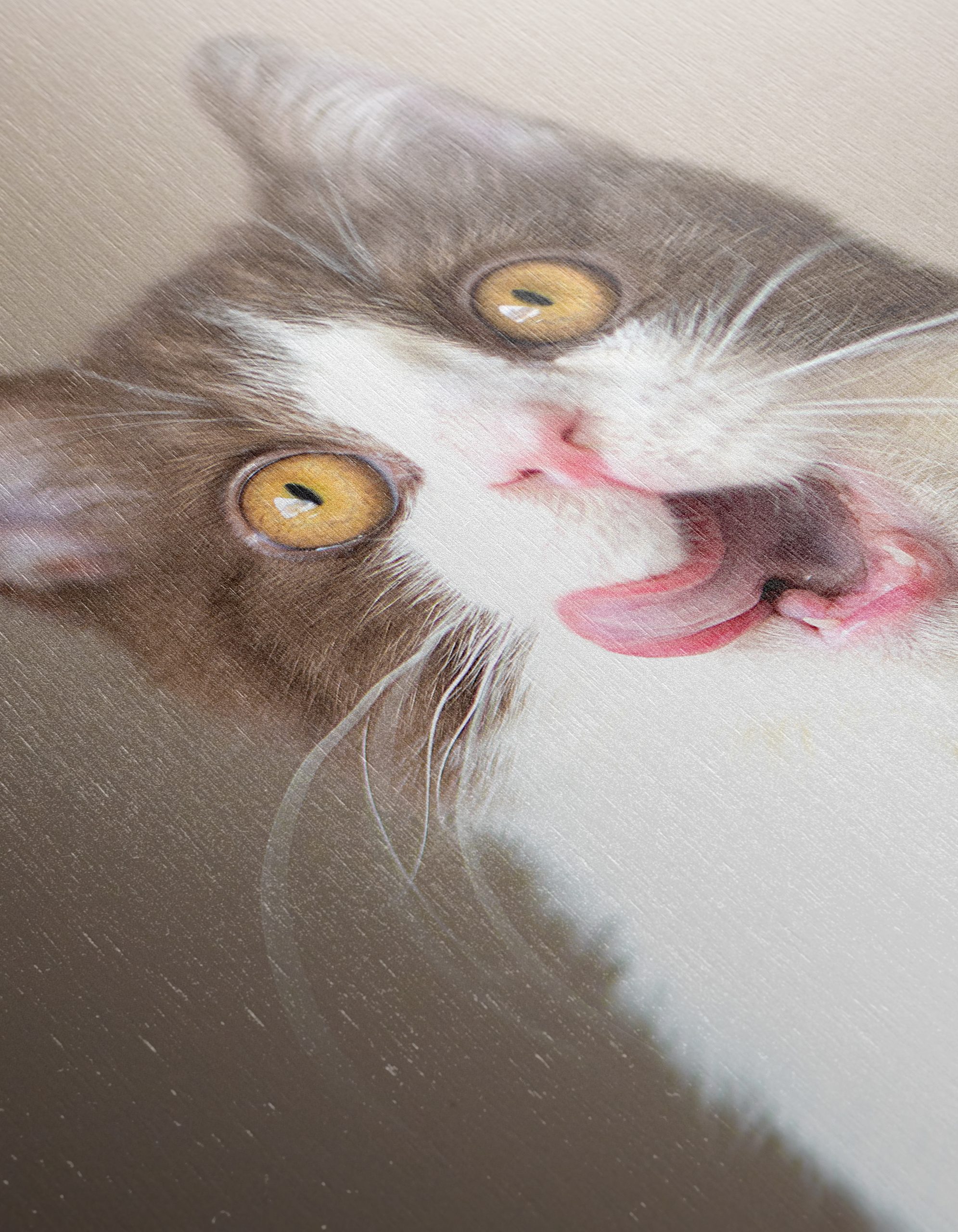Playful Cat Portrait on Neutral Background - Image 12