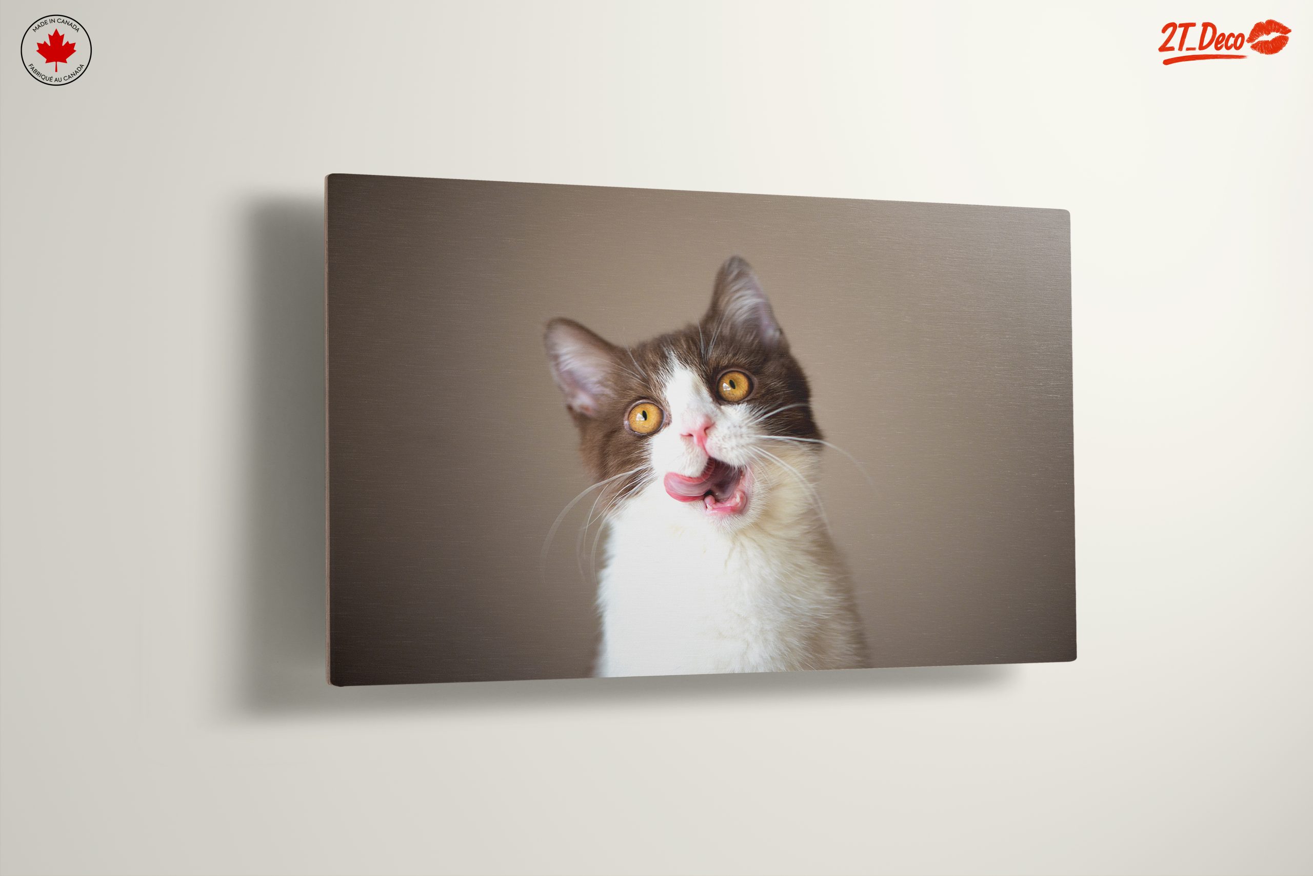Playful Cat Portrait on Neutral Background - Image 13