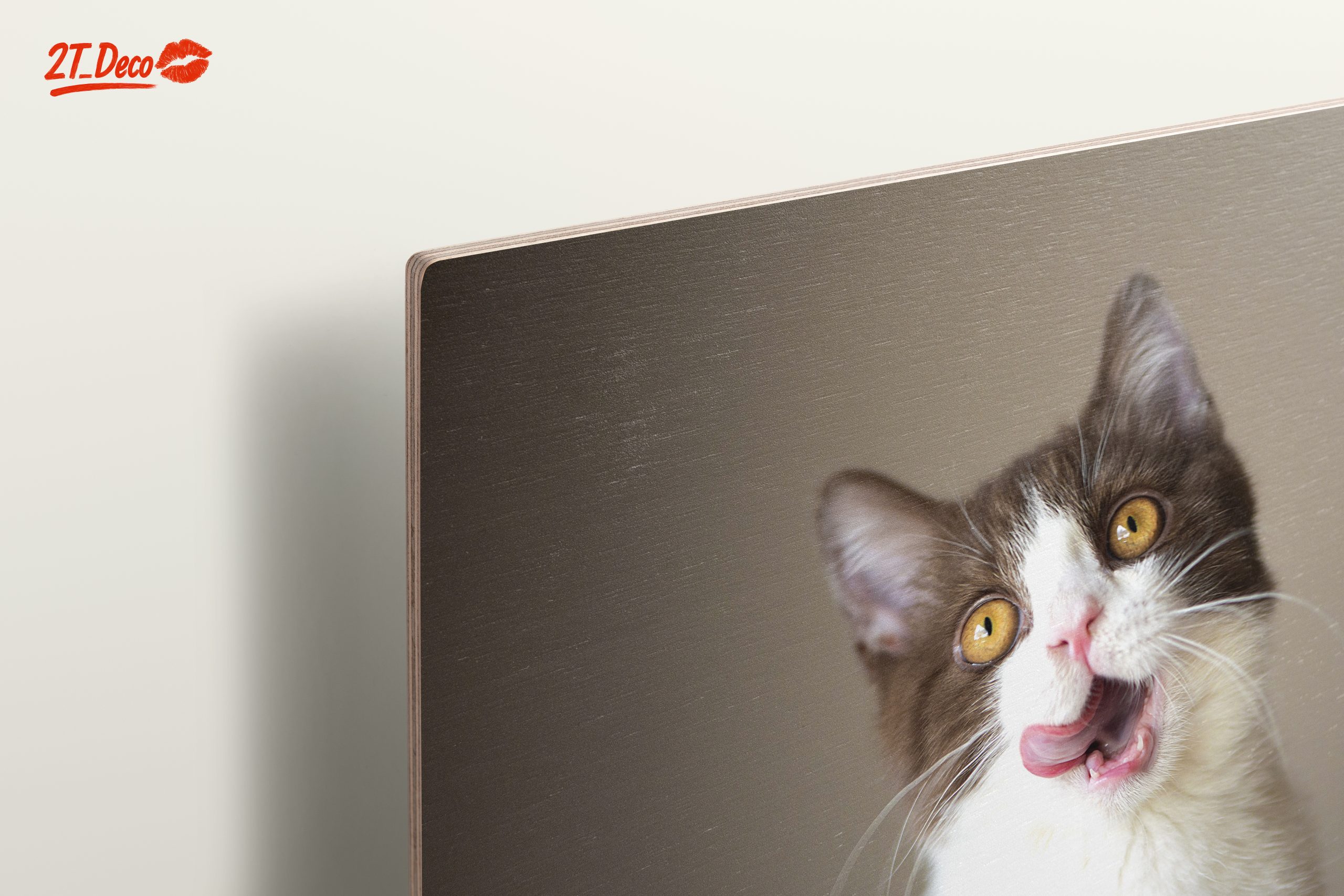 Playful Cat Portrait on Neutral Background - Image 15