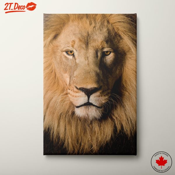 Majestic Lion Portrait