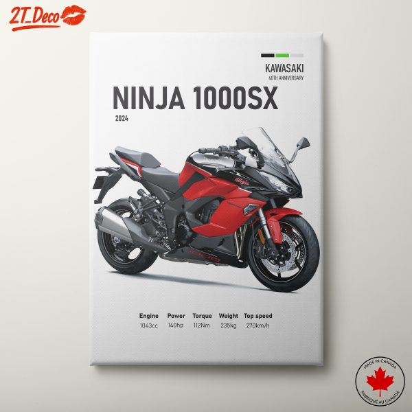 Kawasaki Ninja 1000SX Motorcycle Art