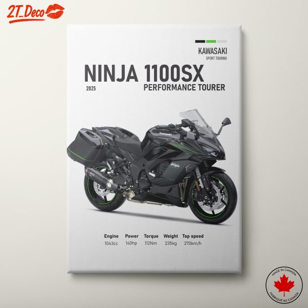 Kawasaki Ninja 1100SX Performance Tourer
