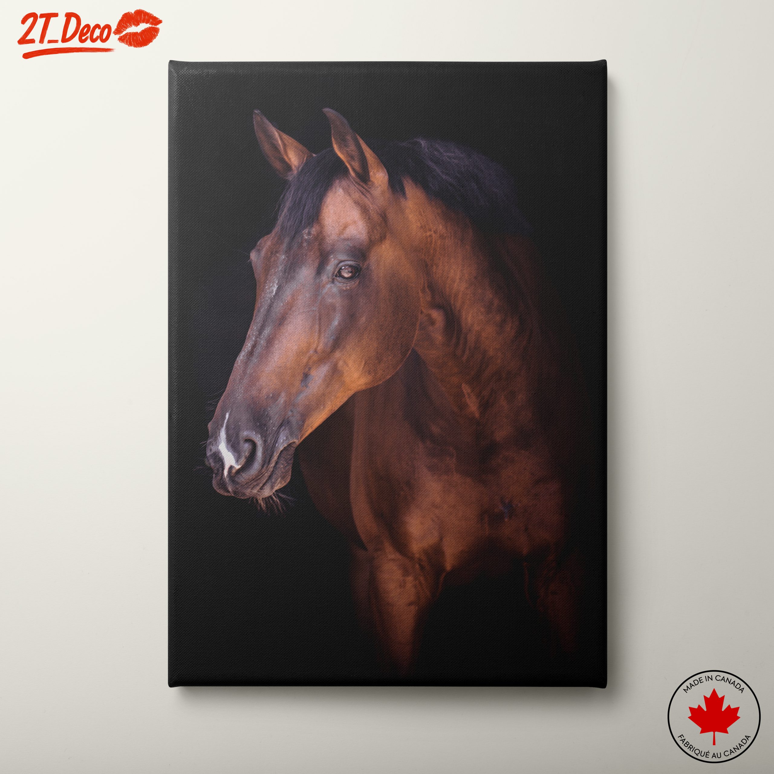 Stunning Horse Portrait