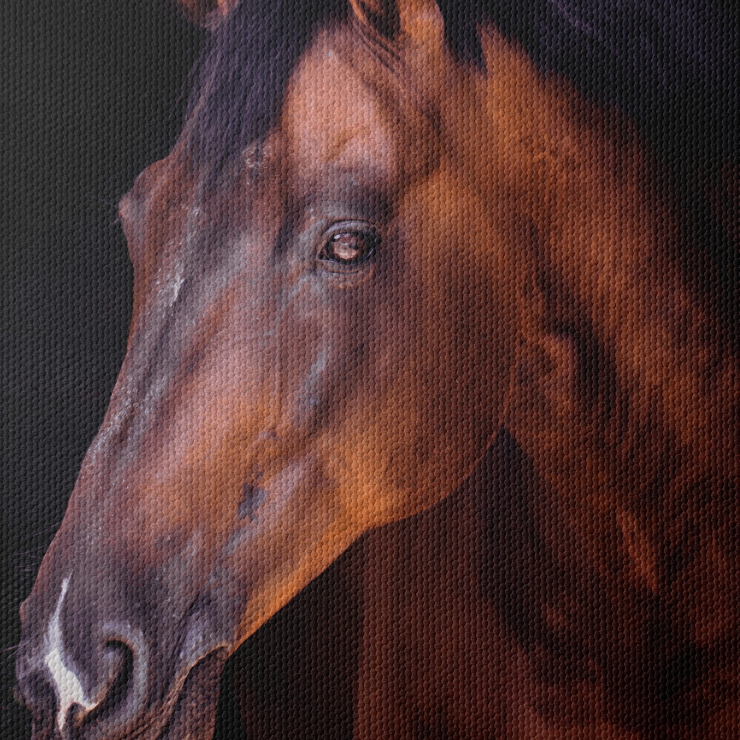 Stunning Horse Portrait - Image 4