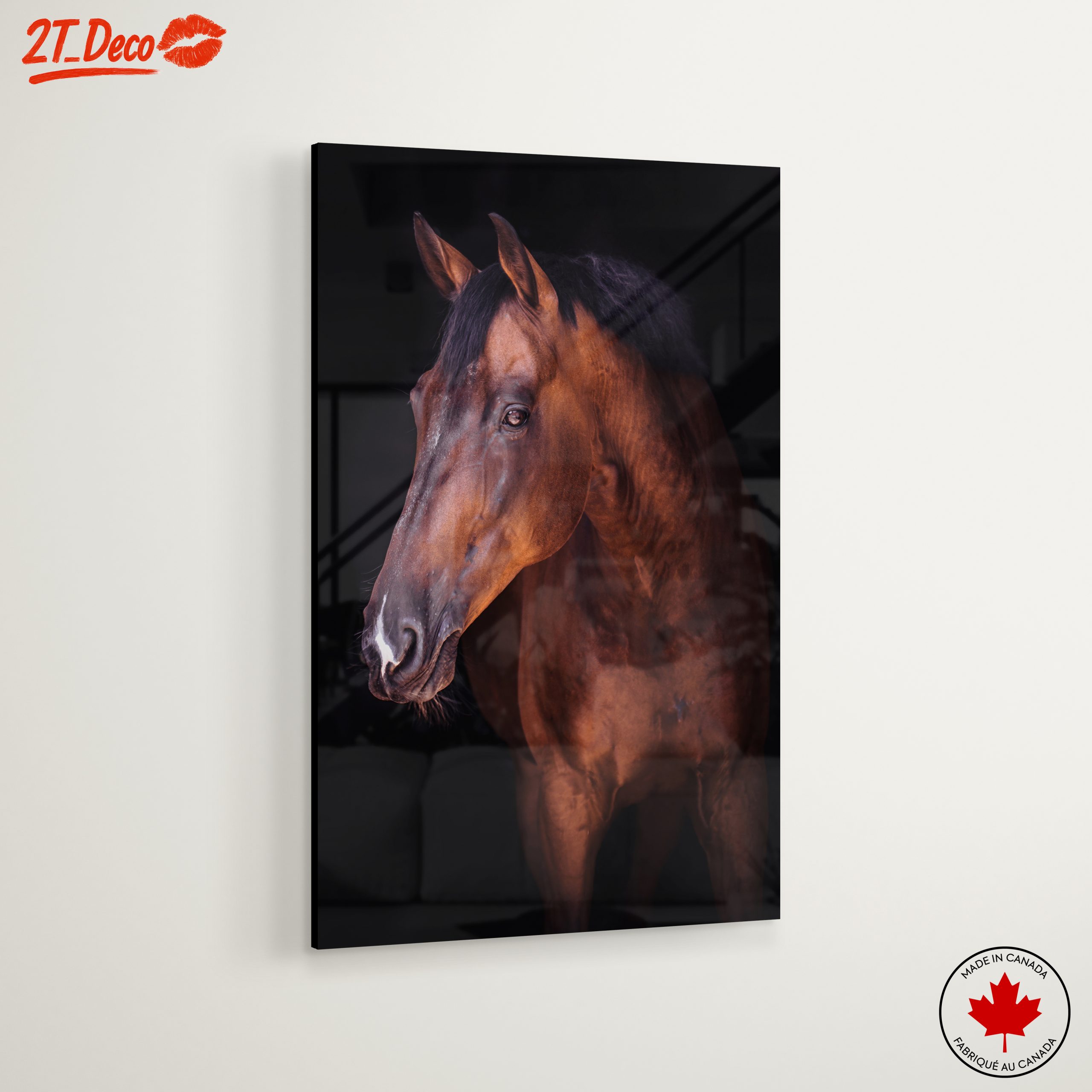 Stunning Horse Portrait - Image 6